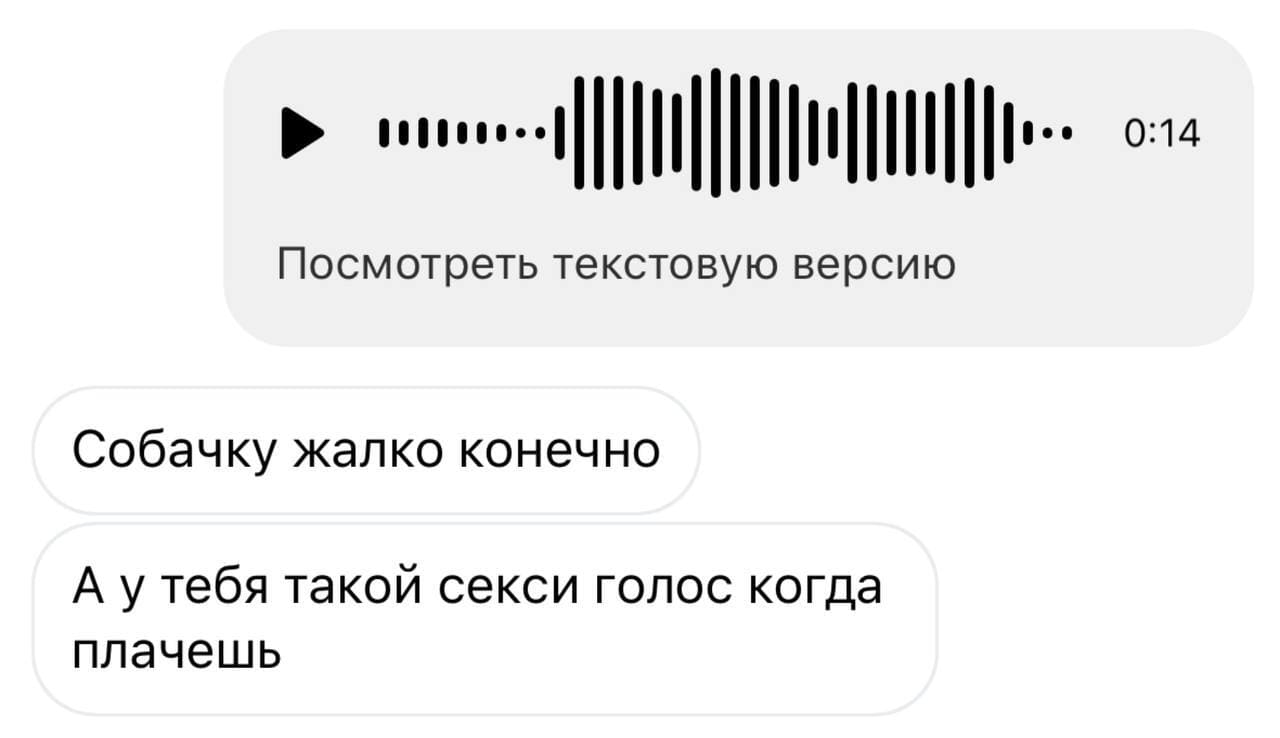 – *Голосовое сообщение* (Посмотреть текстовую версию)
– Собачку жалко конечно. А у тебя такой секси голос когда плачешь.