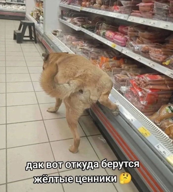 *Так вот откуда берутся жёлтые ценники*