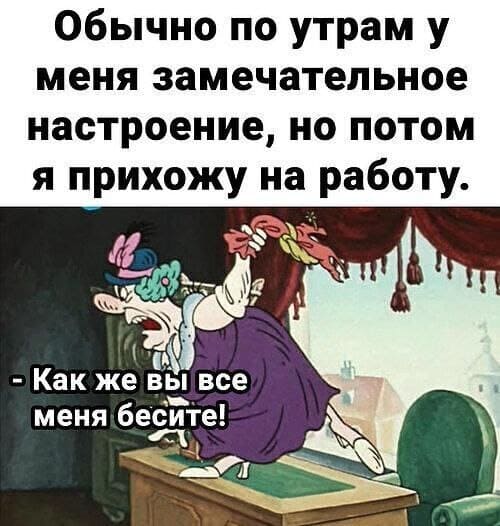 Обычно по утрам у меня замечательное настроение, но потом я прихожу на работу.
– Как же вы все меня бесите!