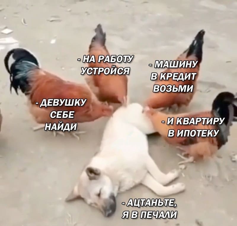 – На работу устройся!
– Машину в кредит возьми!
– Девушку себе найди!
– И квартиру в ипотеку!
– Ацтаньте, я в печали...