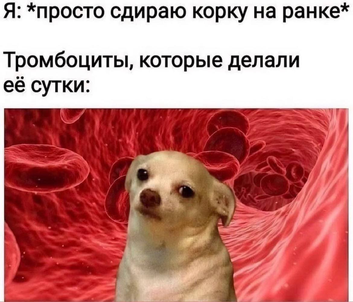 Я: *просто сдираю корку на ранке*
Тромбоциты, которые делали её сутки: *Ну ты чего?*