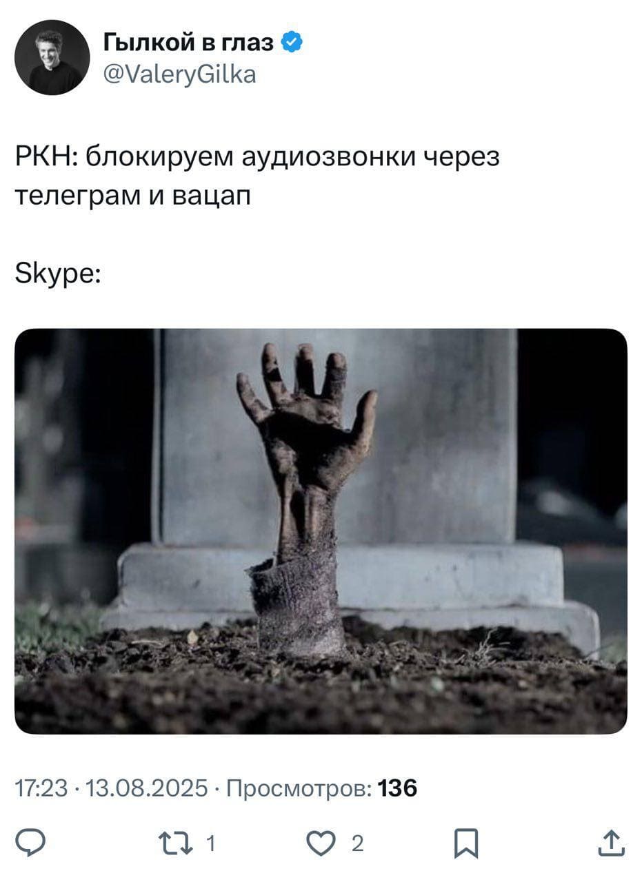 РКН: *Блокирует аудиозвонки через телеграм и вацап*
Skype: *Воскресает и восстаёт из могилы*
