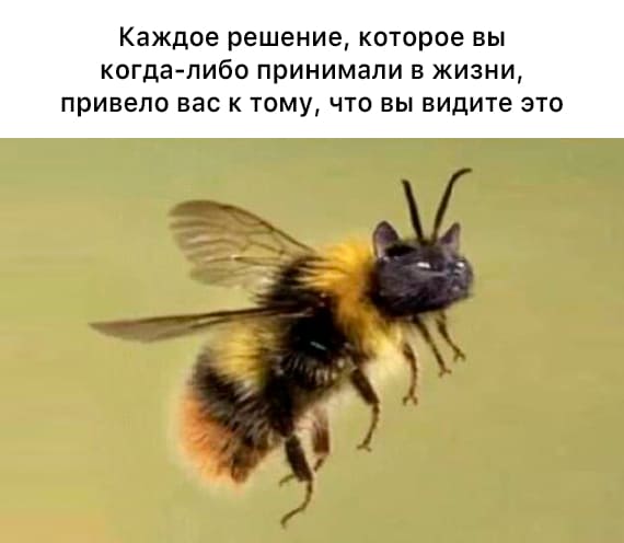 *Каждое решение, которое вы когда-либо принимали в жизни, привело вас к тому, что вы видите это*