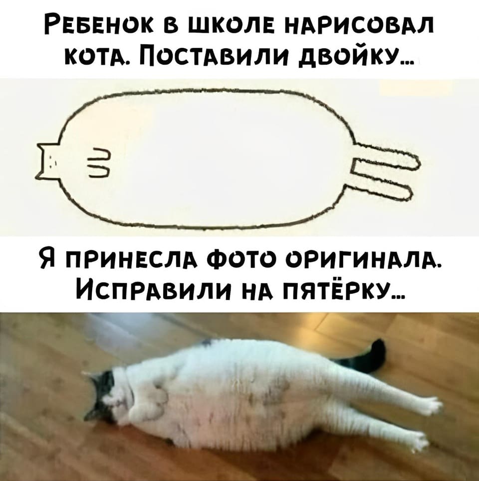 Ребёнок в школе нарисовал кота. Поставили двойку.
Я принесла фото оригинала. Исправили на пятёрку.