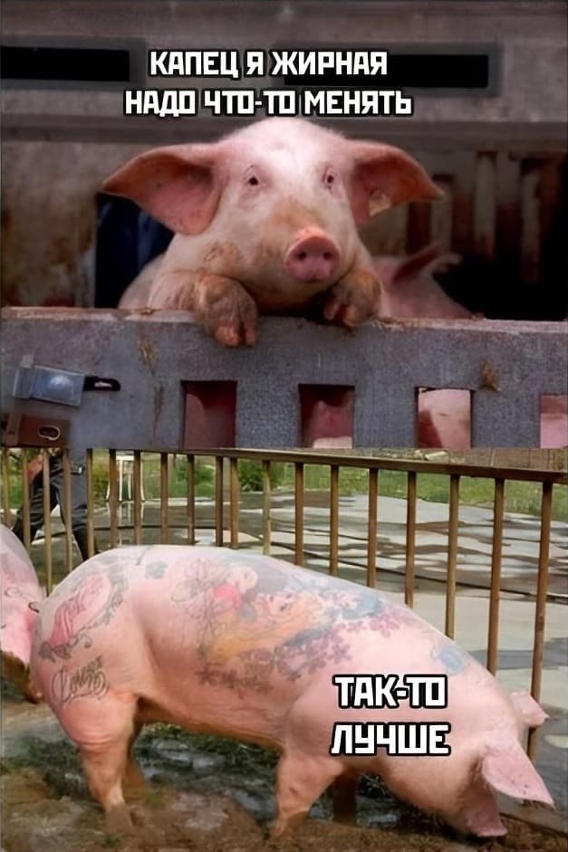 – Капец я жирная. Надо что-то менять.
*Набить кучу татуировок на своём жирном теле*
– Так-то лучше.