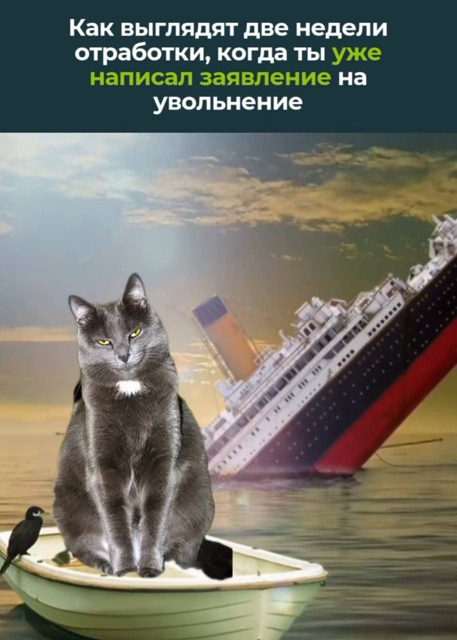 Как выглядят две недели отработки, когда ты уже написал заявление на увольнение.