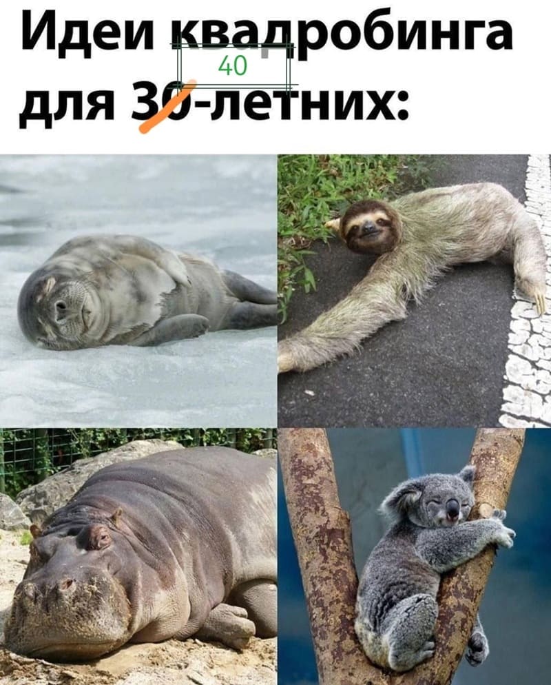 *Идеи квадробинга для 30-40-летних*