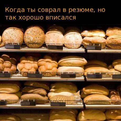 *Когда ты соврал в резюме, но так хорошо вписался*