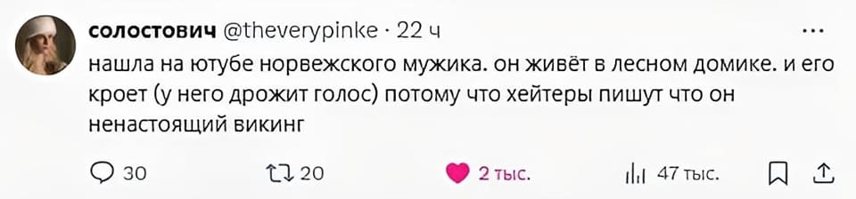 Нашла на ютубе норвежского мужика, он живёт в лесном домике и его кроет (у него дрожит голос) потому что хейтеры пишут, что он ненастоящий викинг.