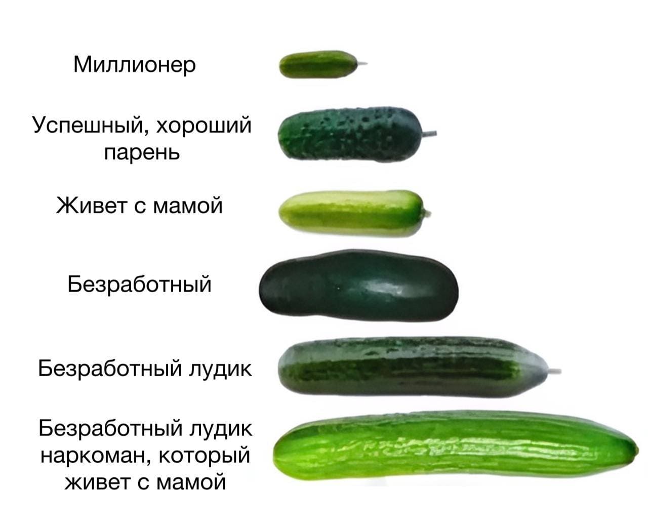 *Миллионер*
*Успешный, хороший парень*
*Живет с мамой*
*Безработный*
*Безработный лудик*
*Безработный лудик наркоман, который живет с мамой*