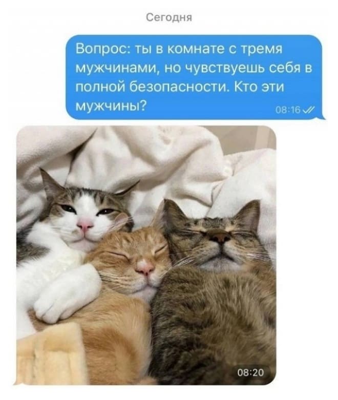 Вопрос: ты в комнате с тремя мужчинами, но чувствуешь себя в полной безопасности. Кто эти мужчины?