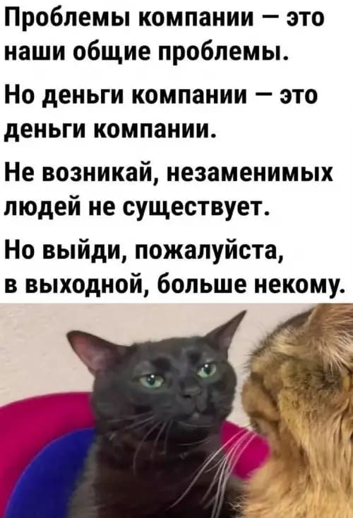 Проблемы компании — это наши общие проблемы.
Но деньги компании — это деньги компании.
Не возникай, незаменимых людей не существует.
Но выйди, пожалуйста, в выходной, больше некому.