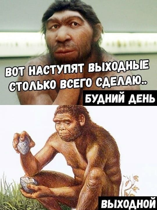 – ВОТ НАСТУПЯТ ВЫХОДНЫЕ СТОЛЬКО ВСЕГО СДЕЛАЮ...
*БУДНИЙ ДЕНЬ*
*ВЫХОДНОЙ*