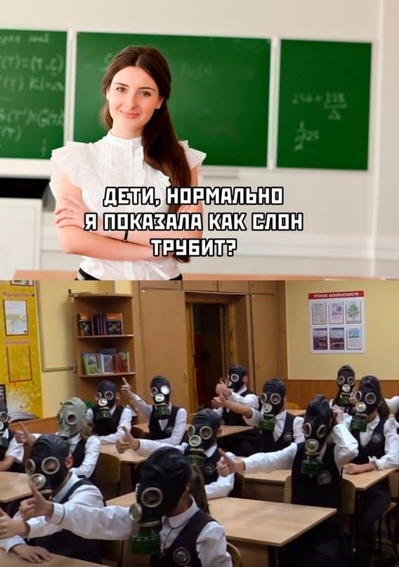 – Дети, нормально я показала как слон трубит?