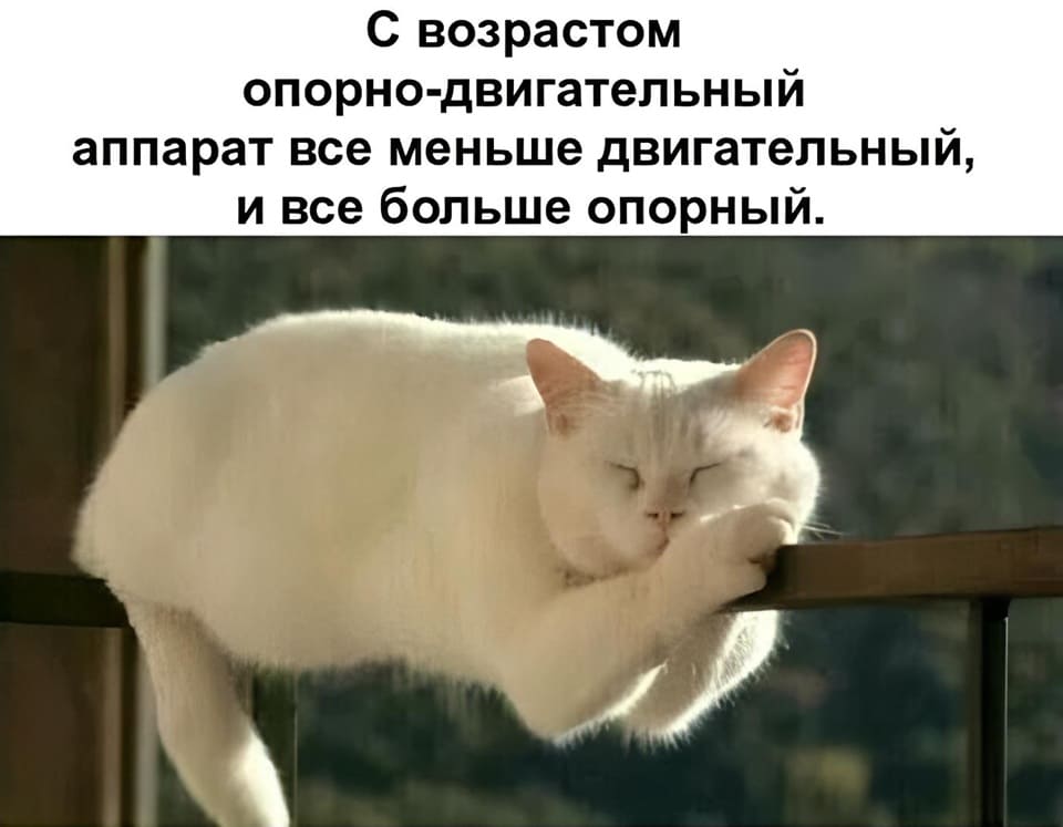 С возрастом опорно-двигательный аппарат всё меньше двигательный, и всё больше опорный.