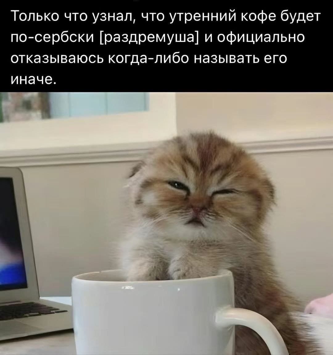 Только что узнал, что утренний кофе будет по-сербски [раздремуша] и официально отказываюсь когда-либо называть его иначе.