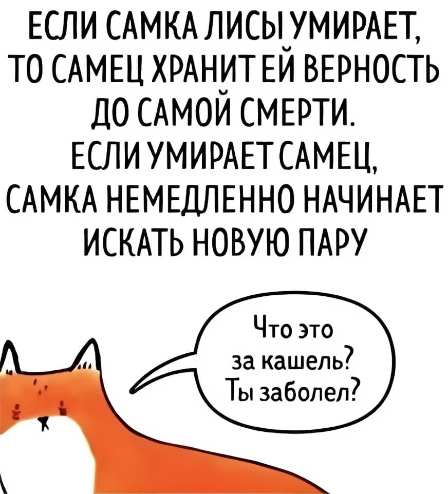 Если самка лисы умирает, то самец хранит ей верность до самой смерти.
Если умирает самец, самка немедленно начинает искать новую пару.
Лисица глядя на своего самца:
– Что это за кашель? Ты заболел?
