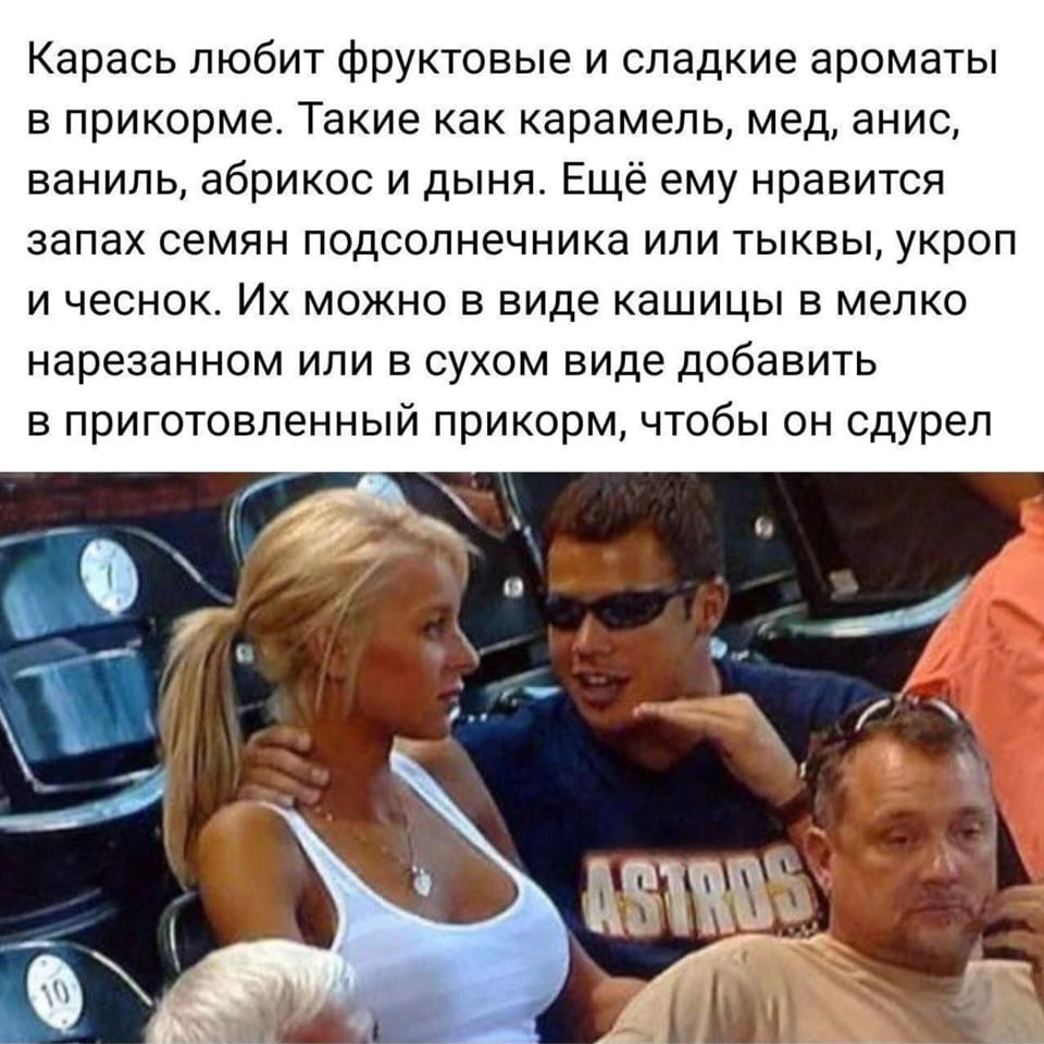 Карась любит фруктовые и сладкие ароматы в прикорме. Такие как карамель, мед, анис, ваниль, абрикос и дыня. Ещё ему нравится запах семян подсолнечника или тыквы, укроп и чеснок. Их можно в виде кашицы в мелко нарезанном или в сухом виде добавить в приготовленный прикорм, чтобы он сдурел.