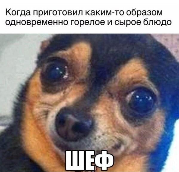 *Когда приготовил каким-то образом одновременно горелое и сырое блюдо*
*ШЕФ*