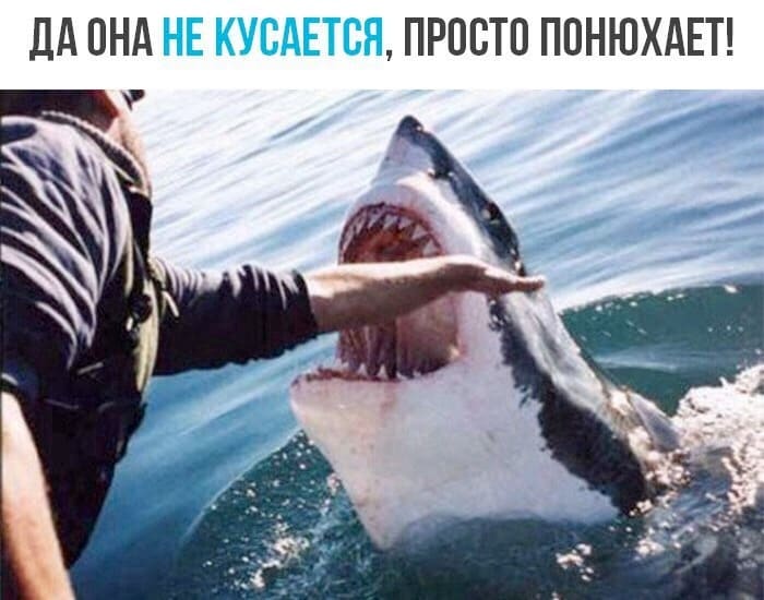 *ДА ОНА НЕ КУСАЕТСЯ, ПРОСТО ПОНЮХАЕТ!*