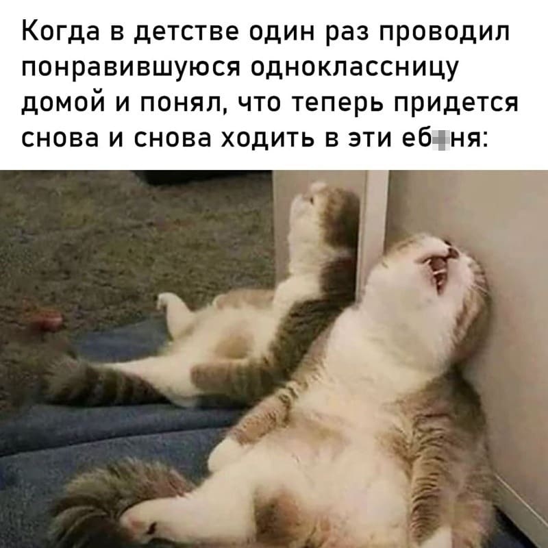 *Когда в детстве один раз проводил понравившуюся одноклассницу домой и понял, что теперь придётся снова и снова ходить в эти еб*ня*