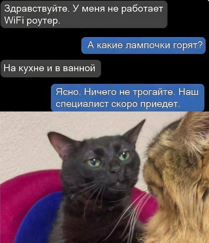 – Здравствуйте! У меня «ВАЙ-ФАЙ» роутер не работает.
– А какие лампочки горят?
– В коридоре и в комнате.
– Ясно. Ничего не трогайте. Наш специалист скоро приедет.