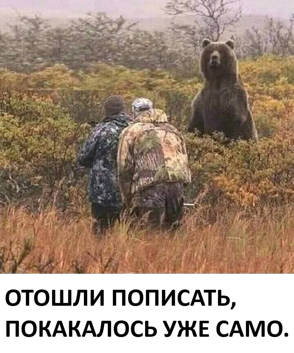 ОТОШЛИ ПОПИСАТЬ, ПОКАКАЛОСЬ УЖЕ САМО.