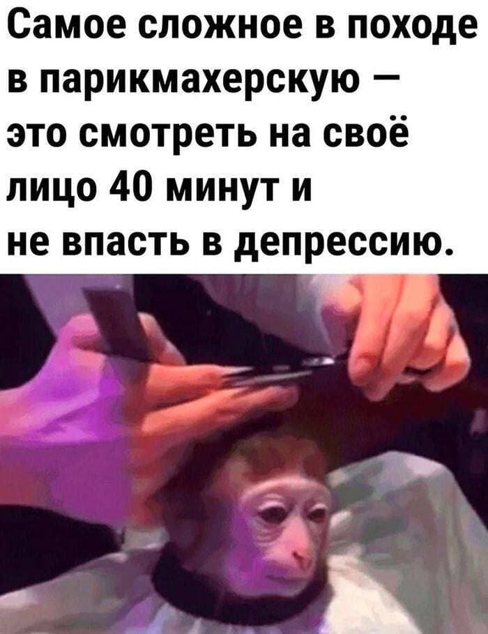Самое сложное в походе в парикмахерскую — это смотреть на своё лицо 40 минут и не впасть в депрессию.