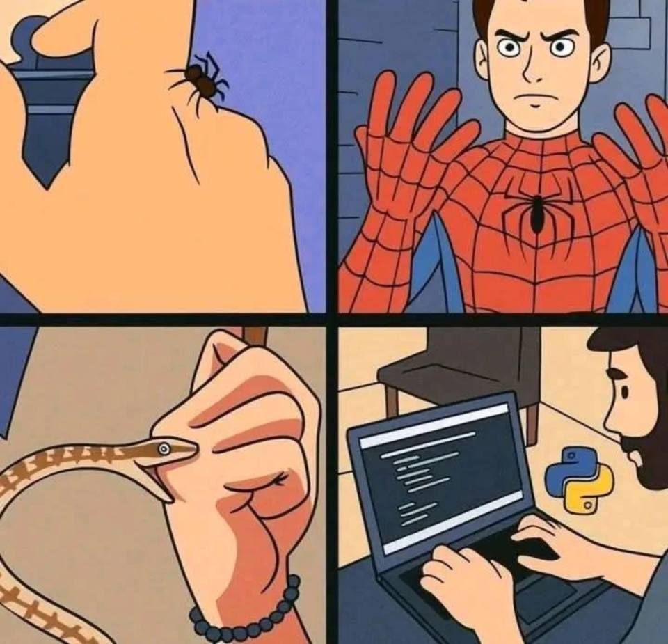 *Тот самый момент, когда тебя укусил питон и теперь ты программируешь на Питоне*