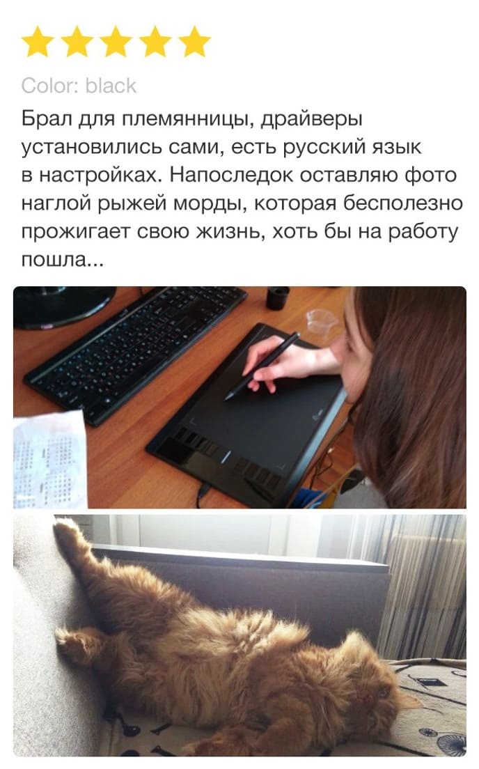 Брал для племянницы, драйверы установились сами, есть русский язык в настройках. Напоследок оставляю фото наглой рыжей морды, которая бесполезно прожигает свою жизнь, хоть бы на работу пошла...