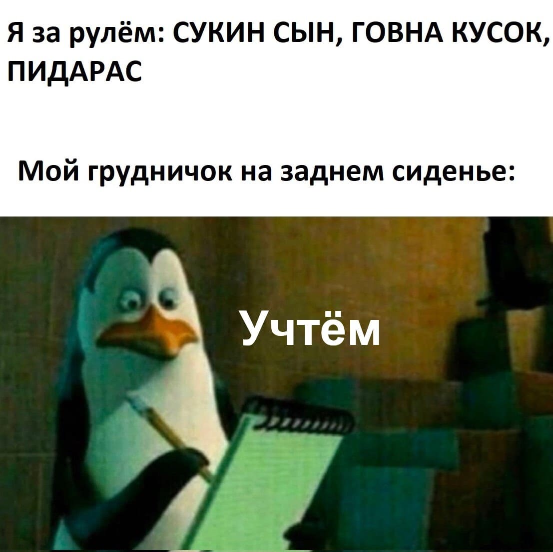 Я за рулём: СУКИН СЫН, ГОВНА КУСОК, П*ДАРАС!
Мой грудничок на заднем сиденье: *Учтём*