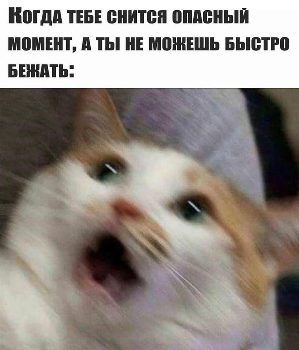 *Когда тебе снится опасный момент, а ты не можешь быстро бежать*