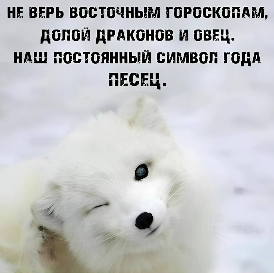 НЕ ВЕРЬ ВОСТОЧНЫМ ГОРОСКОПАМ,
ДОЛОЙ ДРАКОНОВ И ОВЕЦ.
НАШ ПОСТОЯННЫЙ СИМВОЛ ГОДА —
ПЕСЕЦ.