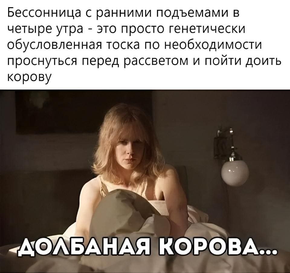 Бессонница с ранними подъёмами в четыре утра – это просто генетически обусловленная тоска по необходимости проснуться перед рассветом и пойти доить корову.
*Долбанная корова*