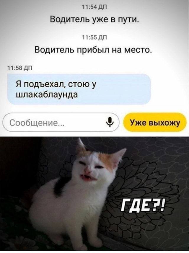 – *Водитель уже в пути.*
– *Водитель прибыл на место.*
– Я подъехал, стою у шлакаблаунда.
Сообщение... Уже выхожу
*Где?!*