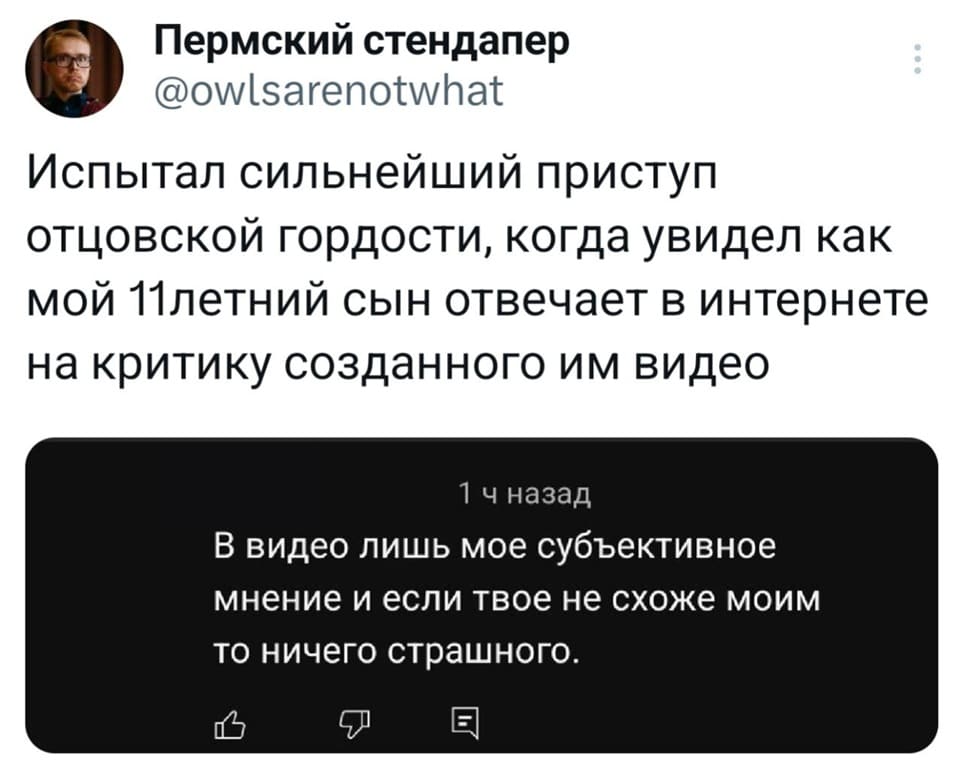 – Испытал сильнейший приступ отцовской гордости, когда увидел как мой 11летний сын отвечает в интернете на критику созданного им видео.

Комментарий ребёнка:
– В видео лишь моё субъективное мнение и если твое не схоже моим то ничего страшного.
