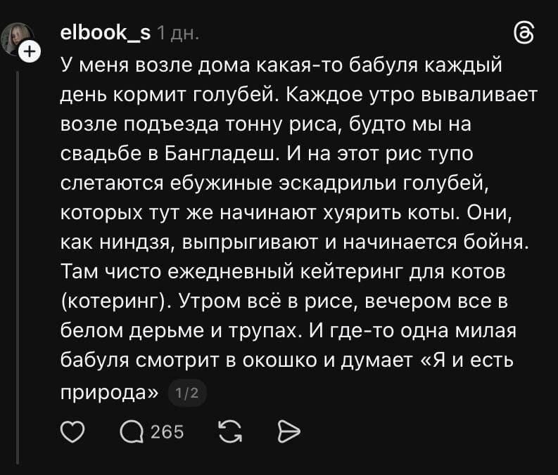 У меня возле дома какая-то бабуля каждый день кормит голубей. Каждое утро вываливает возле подъезда тонну риса, будто мы на свадьбе в Бангладеш. И на этот рис тупо слетаются ебужиные эскадрильи голубей, которых тут же начинают хуярить коты. Они, как ниндзя, выпрыгивают и начинается бойня. Там чисто ежедневный кейтеринг для котов (котеринг). Утром всё в рисе, вечером все в белом дерьме и трупах. И где-то одна милая бабуля смотрит в окошко и думает «Я и есть природа».