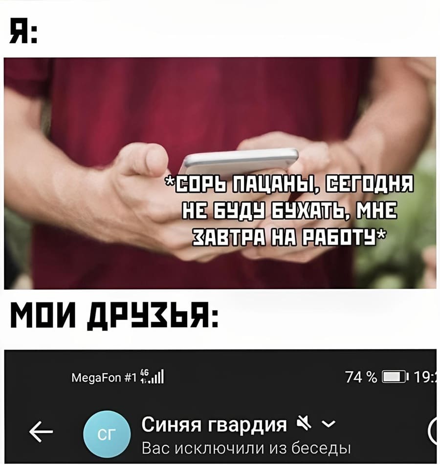 Я: *Сорь, пацаны, сегодня не буду бухать, завтра на работу*
Друзья: *Синяя гвардия* вас исключила из группы.