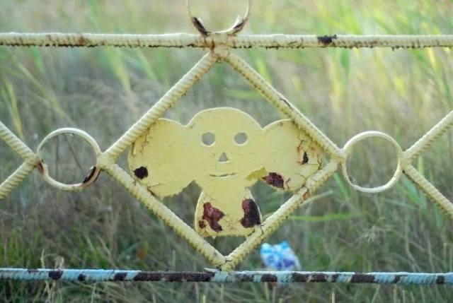 *Чебурашка в заборе*