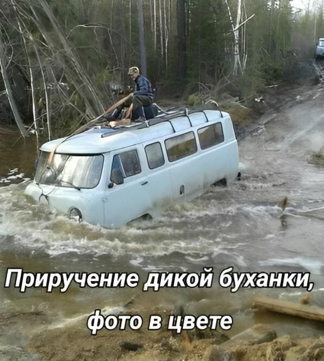 *Приручение дикой Буханки, фото в цвете*