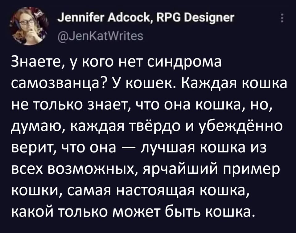 Знаете, у кого нет синдрома самозванца? У кошек. Каждая кошка не только знает, что она кошка, но, думаю, каждая твёрдо и убеждённо верит, что она — лучшая кошка из всех возможных, ярчайший пример кошки, самая настоящая кошка, какой только может быть кошка.