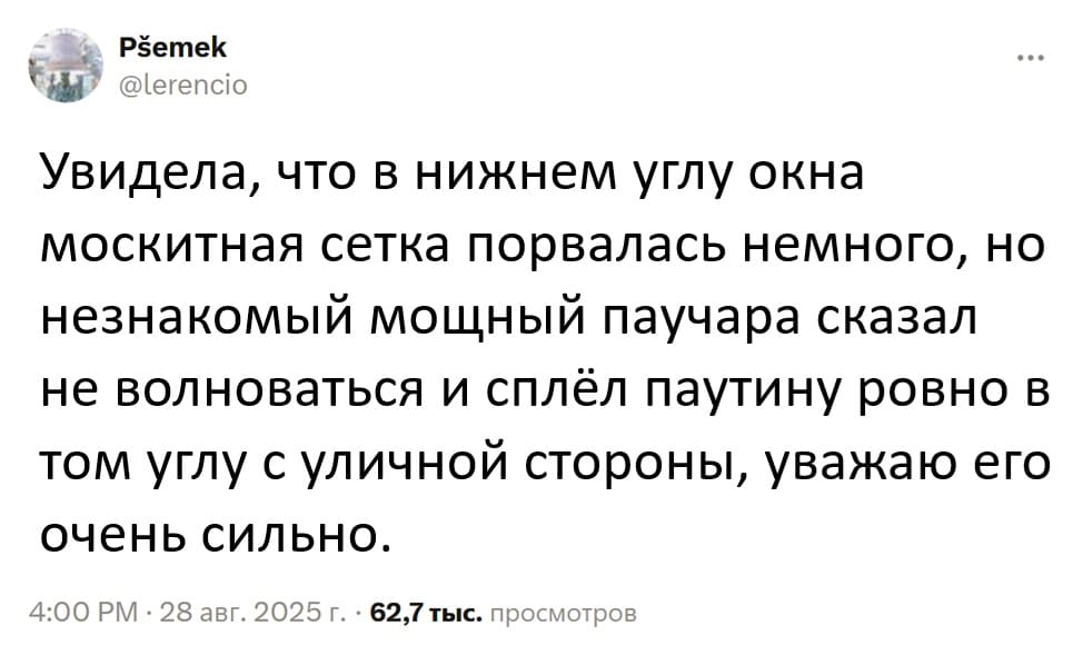 Увидела, что в нижнем углу окна москитная сетка порвалась немного, но незнакомый мощный паучара сказал не волноваться и сплёл паутину ровно в том углу с уличной стороны, уважаю его очень сильно.