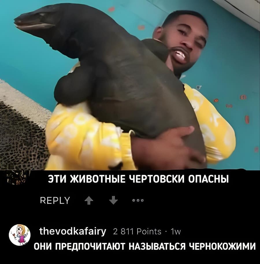 – Эти животные чертовски опасны!
– Они предпочитают называться чернокожими.