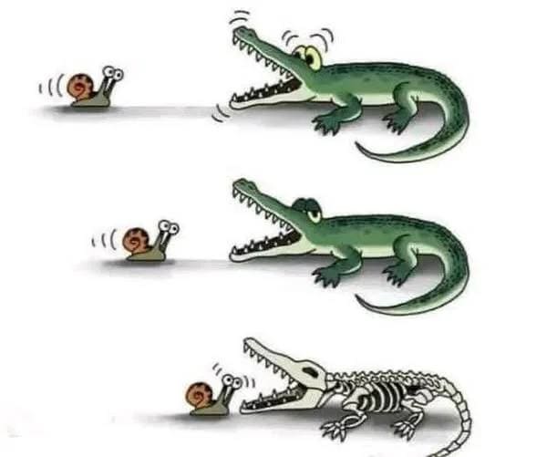 *Улитка и крокодил*