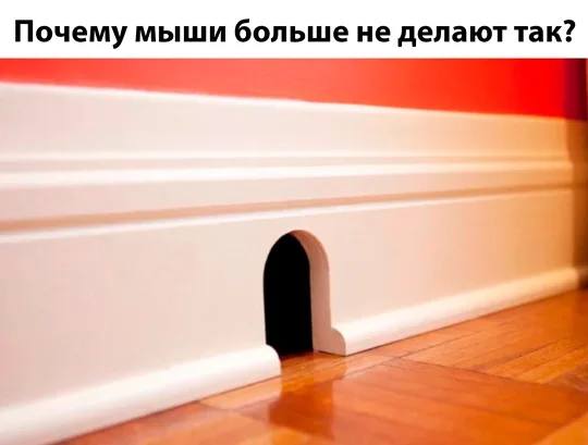 Почему мыши больше не делают так?