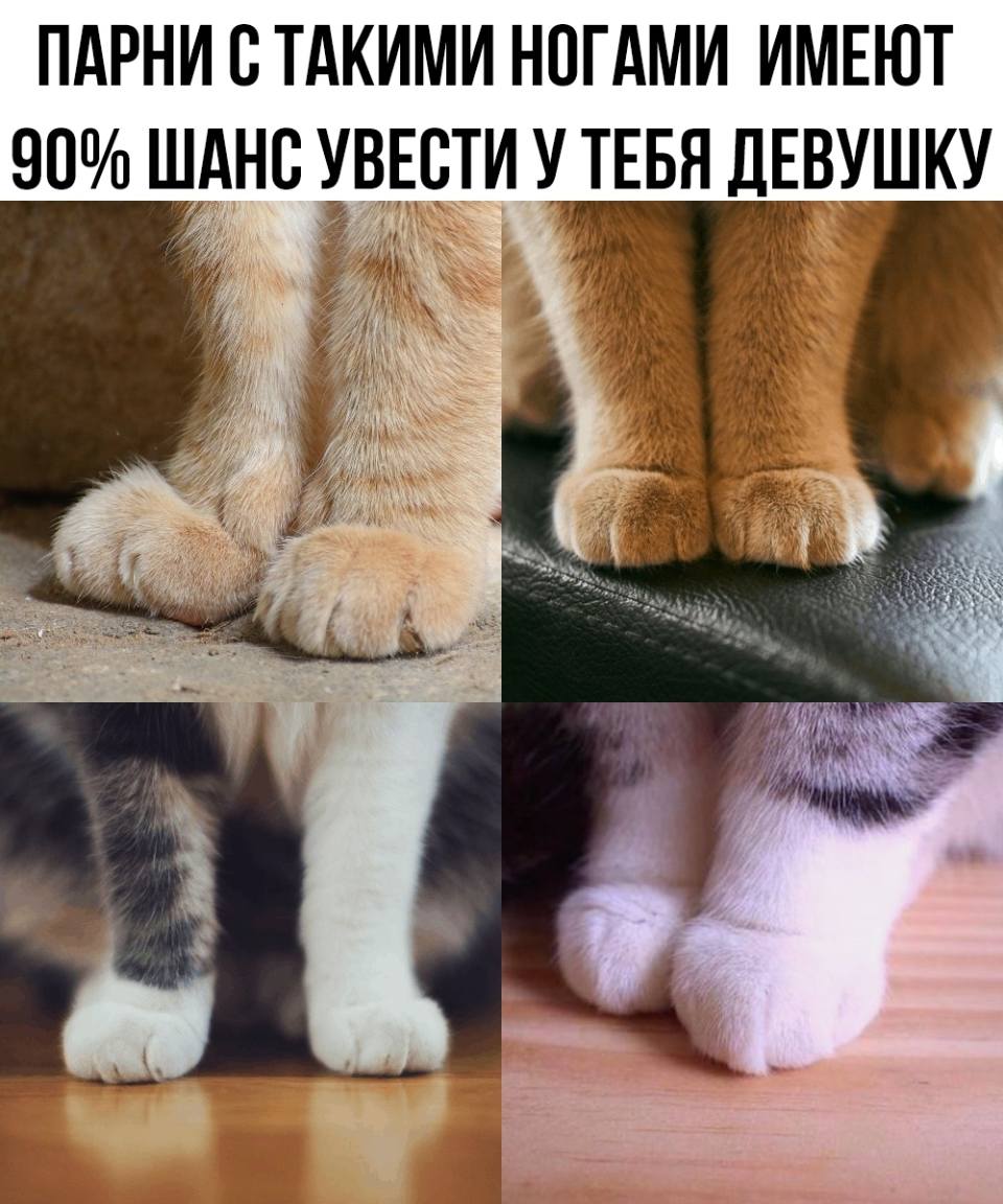 *Парни с такими ногами имеют 100% шанс увести у тебя девушку.*