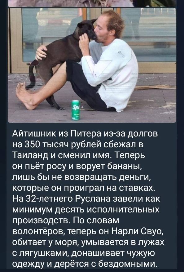 Айтишник из Питера из-за долгов на 350 тысяч рублей сбежал в Таиланд и сменил имя. Теперь он пьёт росу и ворует бананы, лишь бы не возвращать деньги, которые он проиграл на ставках. На З32-летнего Руслана завели как минимум десять исполнительных производств. По словам волонтёров, теперь он Нарли Свуо, обитает у моря, умывается в лужах с лягушками, донашивает чужую одежду и дерётся с бездомными.