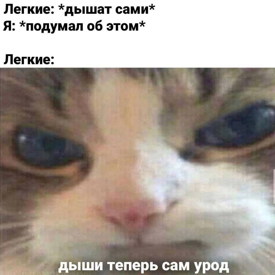 Легкие: *дышат сами*
Я: *подумал об этом*
Легкие: *дыши теперь сам урод*