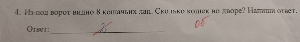 Задание: Из-под ворот видно 8 кошачьих лап. Сколько кошек во дворе? Напиши ответ.
Ответ: 2 (неверный)
Ответ по версии учителя (МО образования) —
4 – потому что у кошек видно только передние лапы!