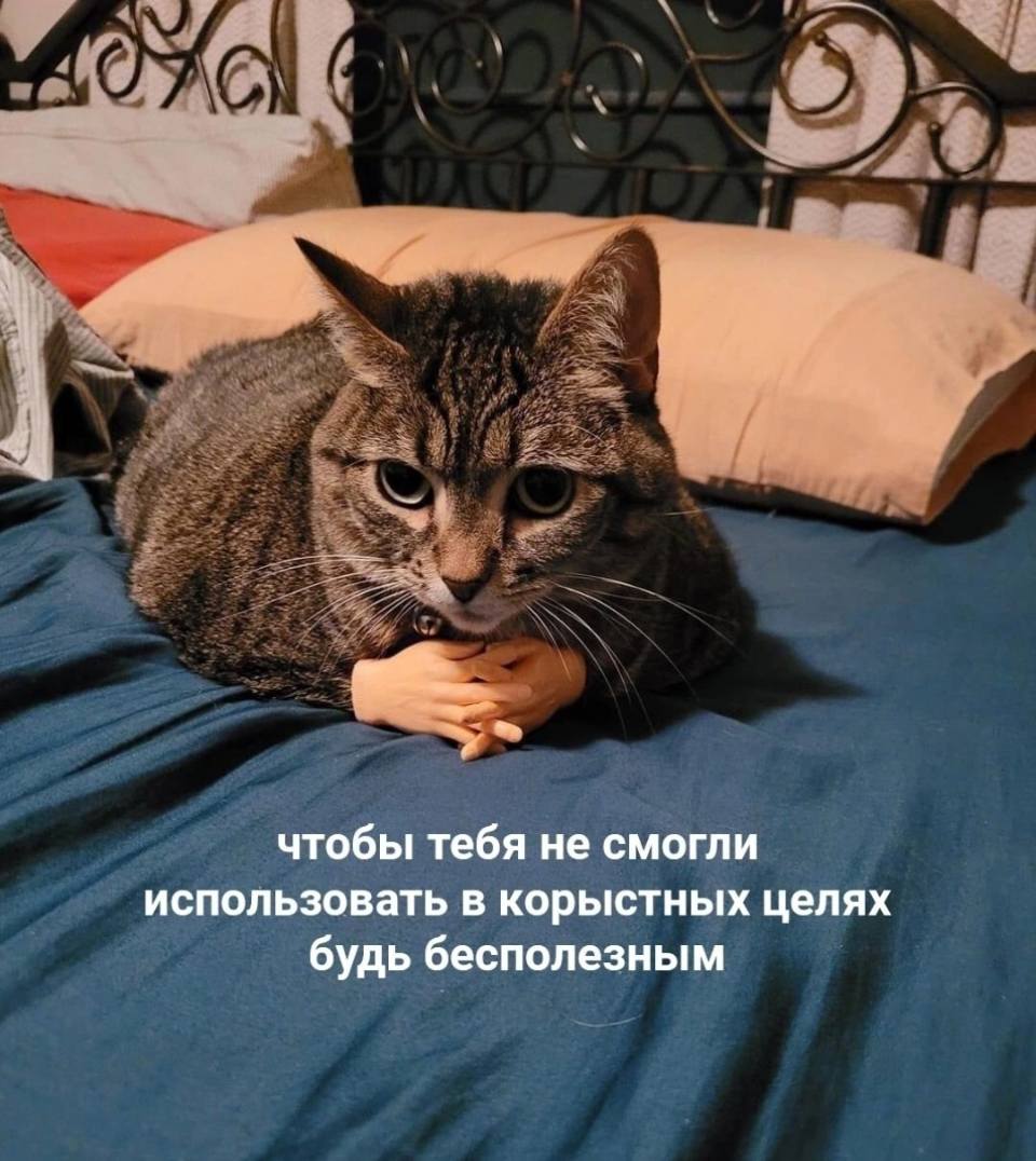 Чтобы тебя не смогли использовать в корыстных целях будь бесполезным.